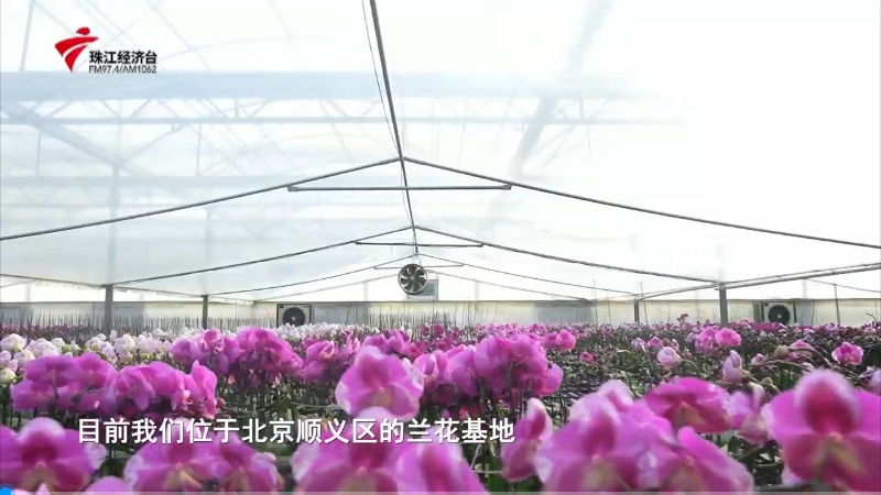 首页- am8亚美集团旗舰厅官网