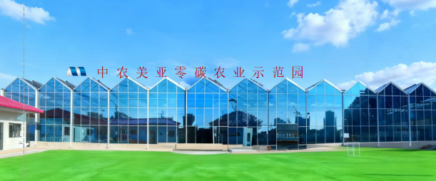 首页- am8亚美集团旗舰厅官网